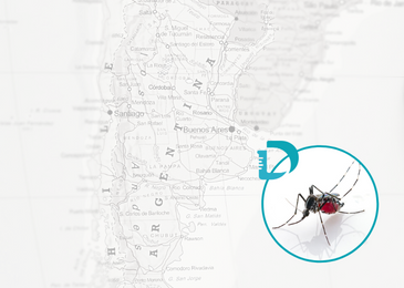 Dengue en Argentina -  Alerta, Diagnóstico y Prevención